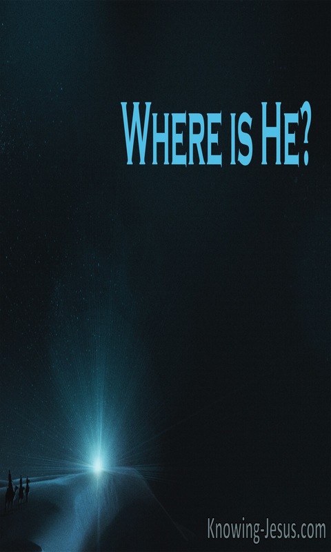 Mathew 2:2 Where is He (devotional)07-11 (blue)